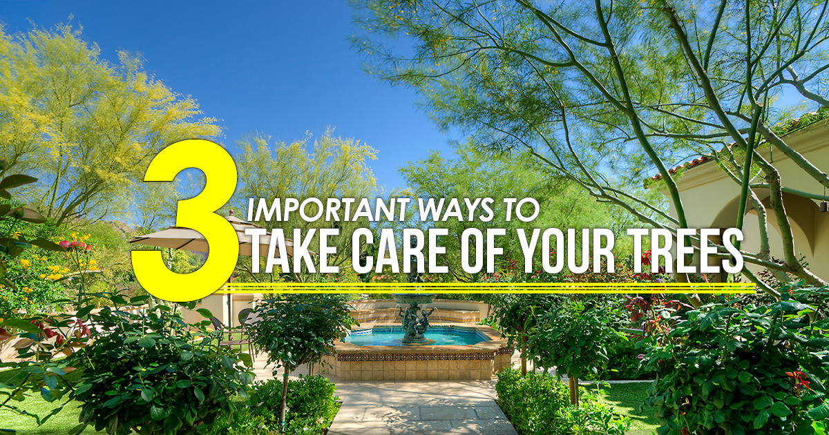 Three Important Ways To Take Care Of Your Trees